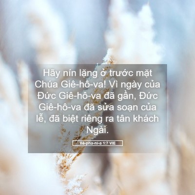Picture 05 - Xê-pha-ni-a 1:7 VIE - Hãy nín lặng ở trước mặt Chúa - Bible Verse Picture