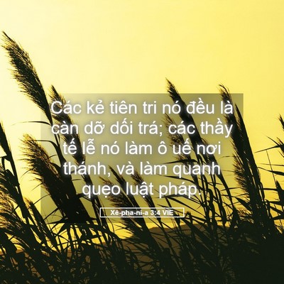 Picture 05 - Xê-pha-ni-a 3:4 VIE - Các kẻ tiên tri nó đều là càn dỡ - Bible Verse Picture