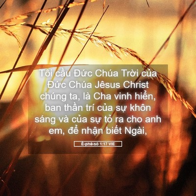 Picture 05 - Ê-phê-sô 1:17 VIE - Tôi cầu Đức Chúa Trời của Đức Chúa - Bible Verse Picture