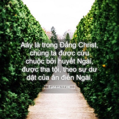 Picture 05 - Ê-phê-sô 1:7 VIE - Aáy là trong Đấng Christ, chúng ta được - Bible Verse Picture
