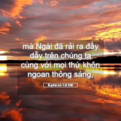 Picture 05 - Ê-phê-sô 1:8 VIE - mà Ngài đã rải ra đầy dẫy trên chúng - Bible Verse Picture
