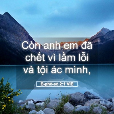Picture 05 - Ê-phê-sô 2:1 VIE - Còn anh em đã chết vì lầm lỗi và tội - Bible Verse Picture