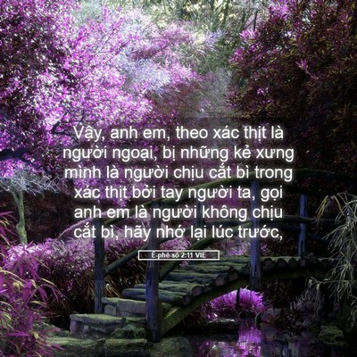 Picture 05 - Ê-phê-sô 2:11 VIE - Vậy, anh em, theo xác thịt là người - Bible Verse Picture
