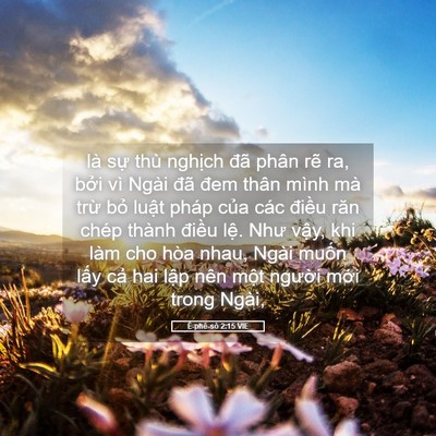 Picture 05 - Ê-phê-sô 2:15 VIE - là sự thù nghịch đã phân rẽ ra, bởi - Bible Verse Picture