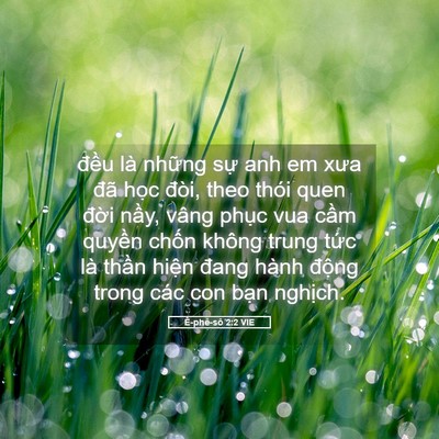Picture 05 - Ê-phê-sô 2:2 VIE - đều là những sự anh em xưa đã học - Bible Verse Picture