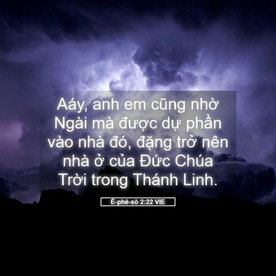 Picture 05 - Ê-phê-sô 2:22 VIE - Aáy, anh em cũng nhờ Ngài mà được dự - Bible Verse Picture