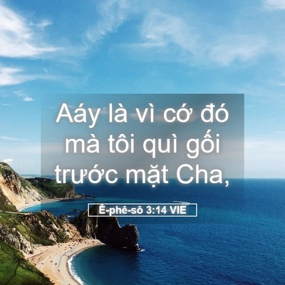 Picture 05 - Ê-phê-sô 3:14 VIE - Aáy là vì cớ đó mà tôi quì gối - Bible Verse Picture