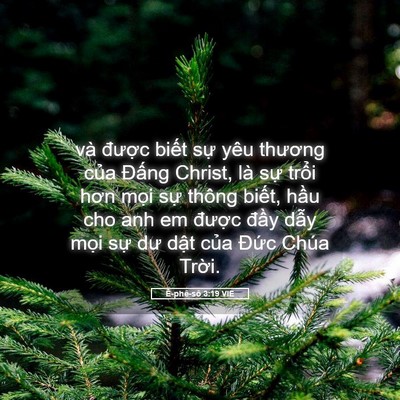 Picture 05 - Ê-phê-sô 3:19 VIE - và được biết sự yêu thương của - Bible Verse Picture