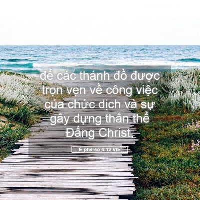 Picture 05 - Ê-phê-sô 4:12 VIE - để các thánh đồ được trọn vẹn - Bible Verse Picture