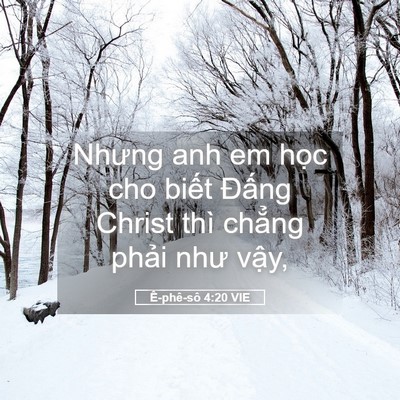 Picture 05 - Ê-phê-sô 4:20 VIE - Nhưng anh em học cho biết Đấng Christ - Bible Verse Picture