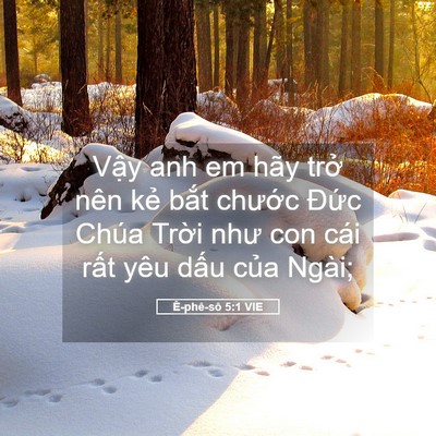 Picture 05 - Ê-phê-sô 5:1 VIE - Vậy anh em hãy trở nên kẻ bắt chước - Bible Verse Picture