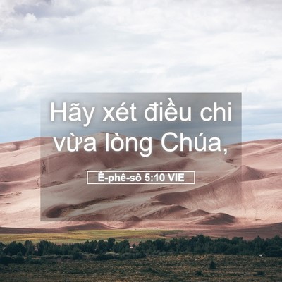 Picture 05 - Ê-phê-sô 5:10 VIE - Hãy xét điều chi vừa lòng - Bible Verse Picture