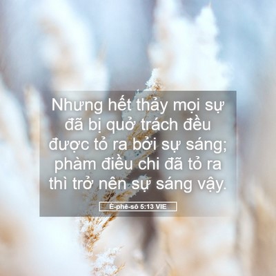 Picture 05 - Ê-phê-sô 5:13 VIE - Nhưng hết thảy mọi sự đã bị quở - Bible Verse Picture