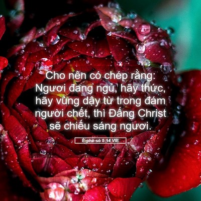 Picture 05 - Ê-phê-sô 5:14 VIE - Cho nên có chép rằng: Ngươi đang ngủ, - Bible Verse Picture