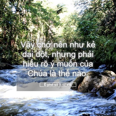 Picture 05 - Ê-phê-sô 5:17 VIE - Vậy chớ nên như kẻ dại dột, nhưng - Bible Verse Picture