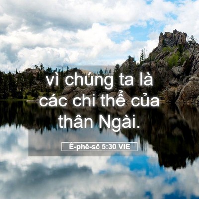 Picture 05 - Ê-phê-sô 5:30 VIE - vì chúng ta là các chi thể của thân - Bible Verse Picture