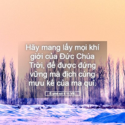 Picture 05 - Ê-phê-sô 6:11 VIE - Hãy mang lấy mọi khí giới của Đức - Bible Verse Picture