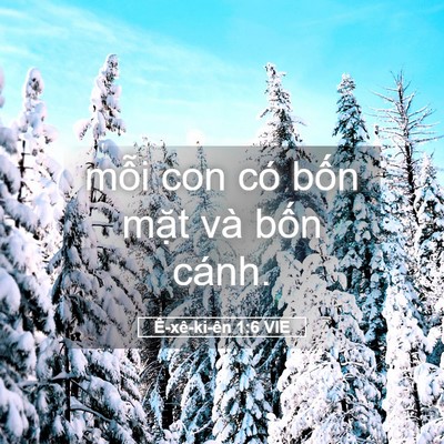 Picture 05 - Ê-xê-ki-ên 1:6 VIE - mỗi con có bốn mặt và bốn - Bible Verse Picture