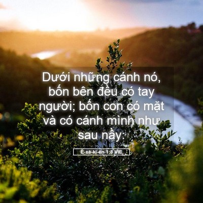 Picture 05 - Ê-xê-ki-ên 1:8 VIE - Dưới những cánh nó, bốn bên đều có - Bible Verse Picture