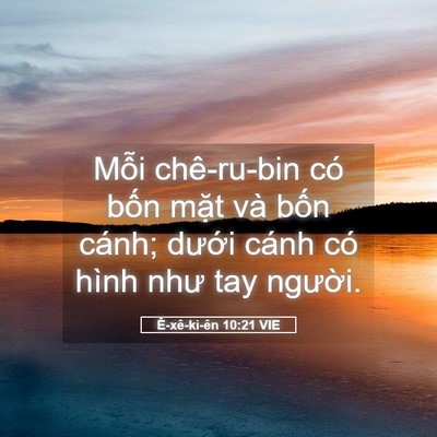Picture 05 - Ê-xê-ki-ên 10:21 VIE - Mỗi chê-ru-bin có bốn mặt và bốn - Bible Verse Picture