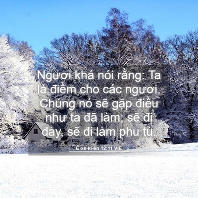 Picture 05 - Ê-xê-ki-ên 12:11 VIE - Ngươi khá nói rằng: Ta là điềm cho các - Bible Verse Picture