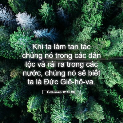 Picture 05 - Ê-xê-ki-ên 12:15 VIE - Khi ta làm tan tác chúng nó trong các dân - Bible Verse Picture