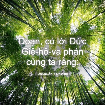 Picture 05 - Ê-xê-ki-ên 14:12 VIE - Đoạn, có lời Đức Giê-hô-va phán cùng - Bible Verse Picture
