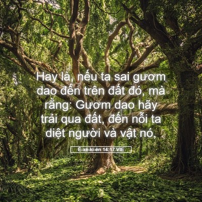 Picture 05 - Ê-xê-ki-ên 14:17 VIE - Hay là, nếu ta sai gươm dao đến trên - Bible Verse Picture