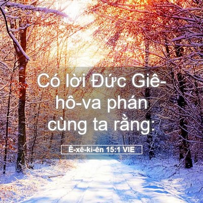 Picture 05 - Ê-xê-ki-ên 15:1 VIE - Có lời Đức Giê-hô-va phán cùng ta - Bible Verse Picture