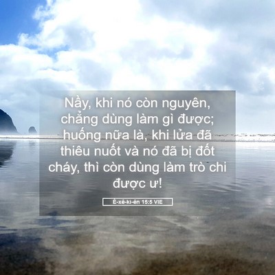 Picture 05 - Ê-xê-ki-ên 15:5 VIE - Nầy, khi nó còn nguyên, chẳng dùng làm - Bible Verse Picture