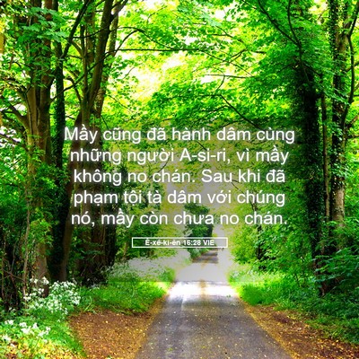 Picture 05 - Ê-xê-ki-ên 16:28 VIE - Mầy cũng đã hành dâm cùng những - Bible Verse Picture