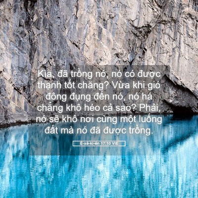 Picture 05 - Ê-xê-ki-ên 17:10 VIE - Kìa, đã trồng nó, nó có được thạnh - Bible Verse Picture