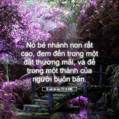Picture 05 - Ê-xê-ki-ên 17:4 VIE - Nó bẻ nhành non rất cao, đem đến trong - Bible Verse Picture