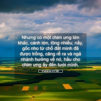 Picture 05 - Ê-xê-ki-ên 17:7 VIE - Nhưng có một chim ưng lớn khác, cánh - Bible Verse Picture
