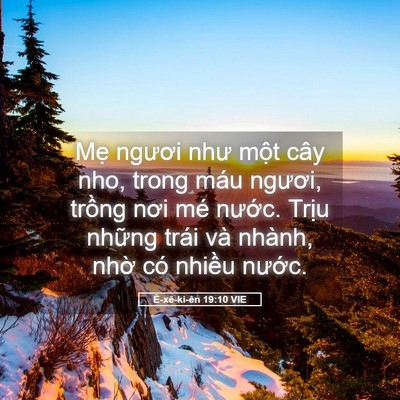 Picture 05 - Ê-xê-ki-ên 19:10 VIE - Mẹ ngươi như một cây nho, trong máu - Bible Verse Picture