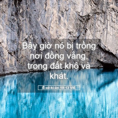 Picture 05 - Ê-xê-ki-ên 19:13 VIE - Bây giờ nó bị trồng nơi đồng vắng, - Bible Verse Picture