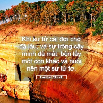 Picture 05 - Ê-xê-ki-ên 19:5 VIE - Khi sư tử cái đợi chờ đã lâu, và - Bible Verse Picture