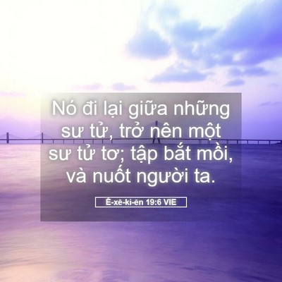 Picture 05 - Ê-xê-ki-ên 19:6 VIE - Nó đi lại giữa những sư tử, trở nên - Bible Verse Picture