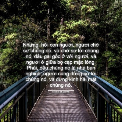 Picture 05 - Ê-xê-ki-ên 2:6 VIE - Nhưng, hỡi con người, ngươi chớ sợ - Bible Verse Picture