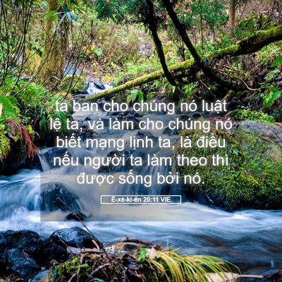 Picture 05 - Ê-xê-ki-ên 20:11 VIE - ta ban cho chúng nó luật lệ ta, và làm - Bible Verse Picture