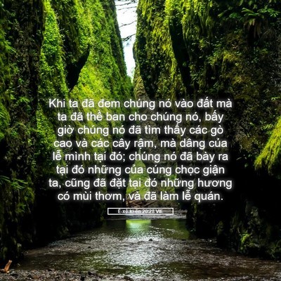 Picture 05 - Ê-xê-ki-ên 20:28 VIE - Khi ta đã đem chúng nó vào đất mà ta - Bible Verse Picture