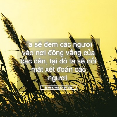 Picture 05 - Ê-xê-ki-ên 20:35 VIE - Ta sẽ đem các ngươi vào nơi đồng - Bible Verse Picture