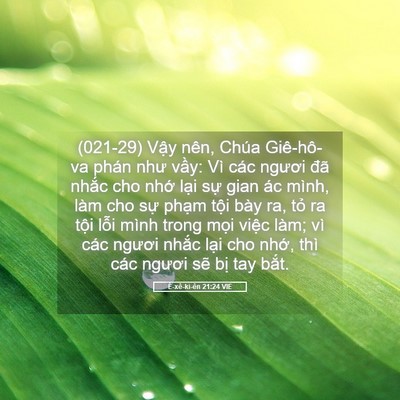 Picture 05 - Ê-xê-ki-ên 21:24 VIE - (021-29) Vậy nên, Chúa Giê-hô-va phán như - Bible Verse Picture