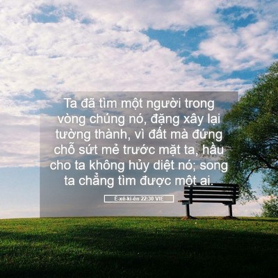 Picture 05 - Ê-xê-ki-ên 22:30 VIE - Ta đã tìm một người trong vòng chúng - Bible Verse Picture