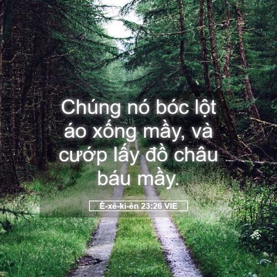 Picture 05 - Ê-xê-ki-ên 23:26 VIE - Chúng nó bóc lột áo xống mầy, và - Bible Verse Picture