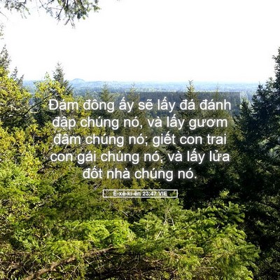 Picture 05 - Ê-xê-ki-ên 23:47 VIE - Đám đông ấy sẽ lấy đá đánh đập - Bible Verse Picture