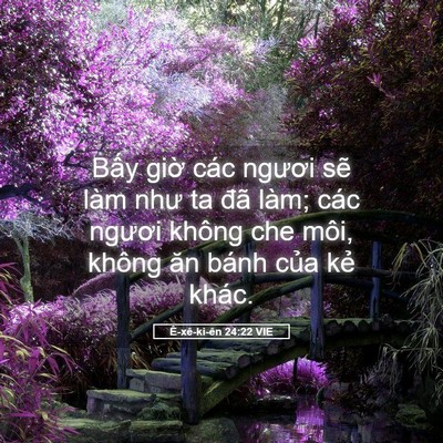 Picture 05 - Ê-xê-ki-ên 24:22 VIE - Bấy giờ các ngươi sẽ làm như ta đã - Bible Verse Picture