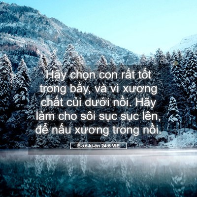 Picture 05 - Ê-xê-ki-ên 24:5 VIE - Hãy chọn con rất tốt trong bầy, và vì - Bible Verse Picture