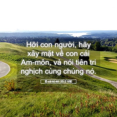 Picture 05 - Ê-xê-ki-ên 25:2 VIE - Hỡi con người, hãy xây mặt về con cái - Bible Verse Picture