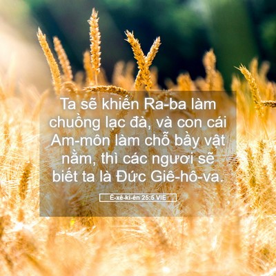 Picture 05 - Ê-xê-ki-ên 25:5 VIE - Ta sẽ khiến Ra-ba làm chuồng lạc đà, - Bible Verse Picture